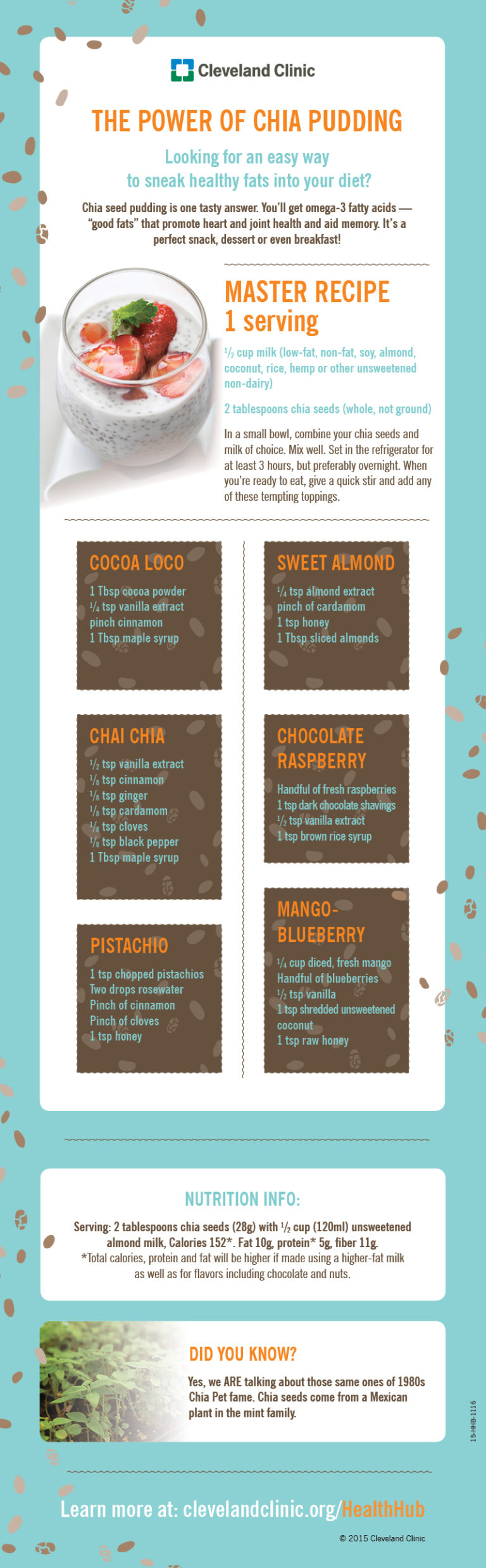 The Power Of Chia Pudding: Healthy Recipes You Need To Try Infographic