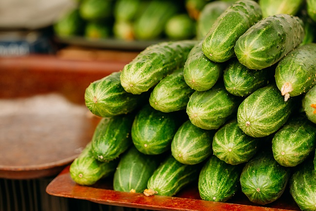 Cucumber. Cucumbers. Growing Organic Cucumbers