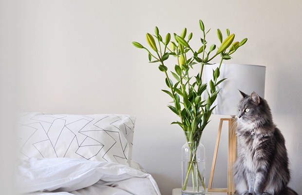 Your Ultimate Guide to Getting Better Sleep: Bedroom a Makeover