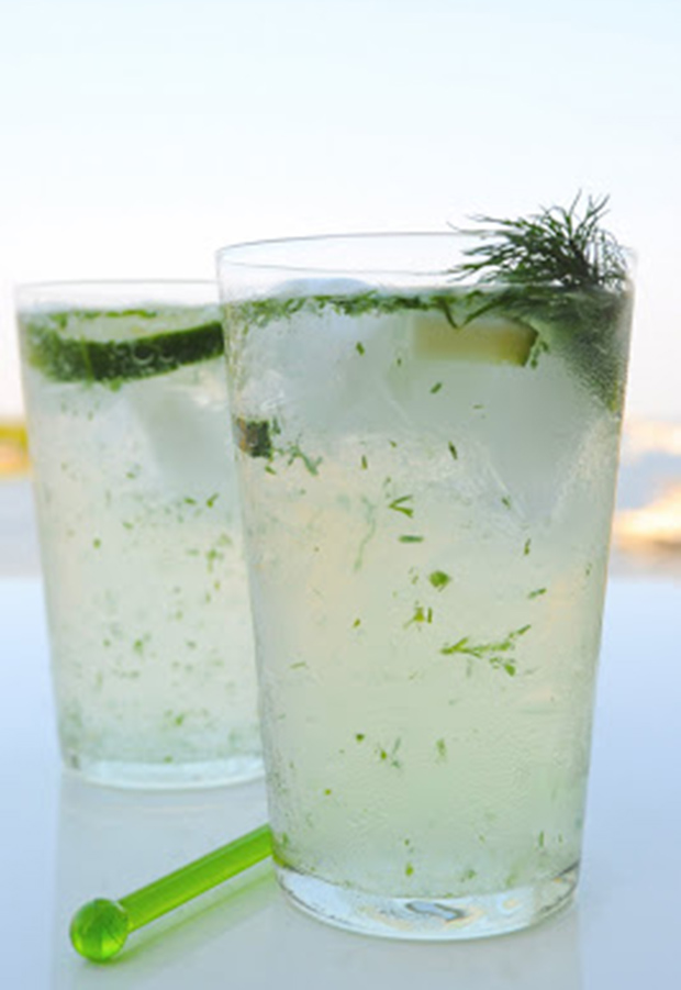 Low-Sugar Cocktails with Seltzer Water: Fresh and Clean Cucumber Gin Fizz 
