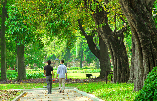 Walk in Garden