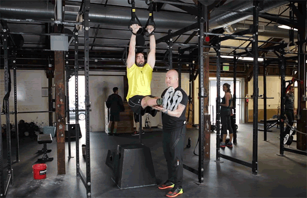 TRX Training: Duo L Pull-Up