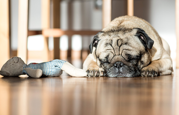Sleep Deprivation Effects