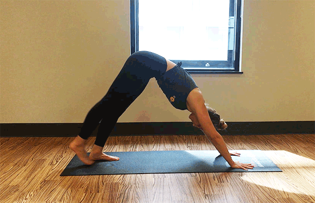 Downward Dog Variations: Downward Dog Knee to Nose