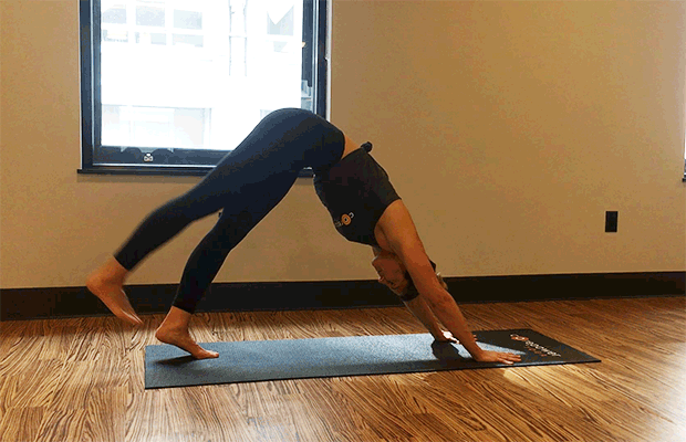 Downward Dog Variations: Downward Dog to Plank