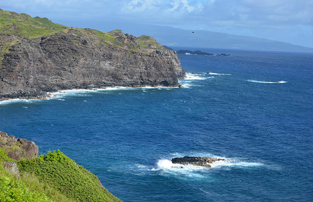 Maui Half-Marathon